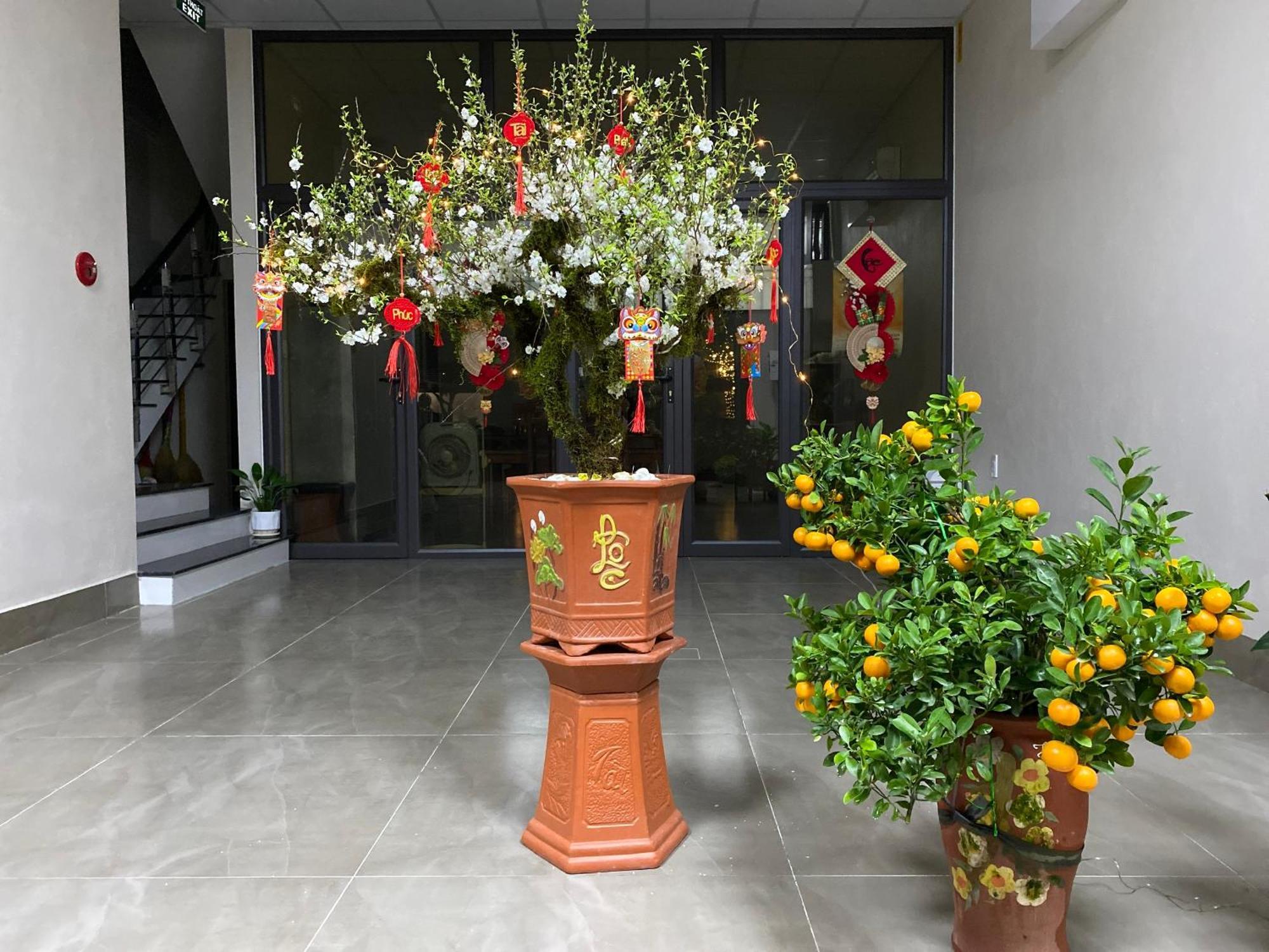 G-Space Apartment Hai Phong Exterior photo